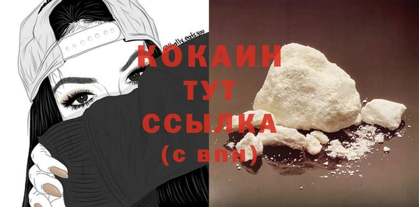 индика Протвино