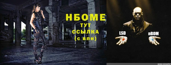 индика Протвино