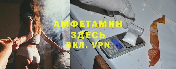 индика Протвино