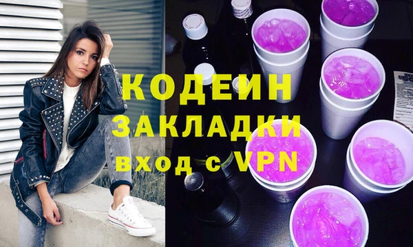 индика Протвино