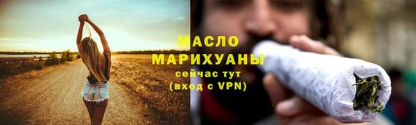 индика Протвино