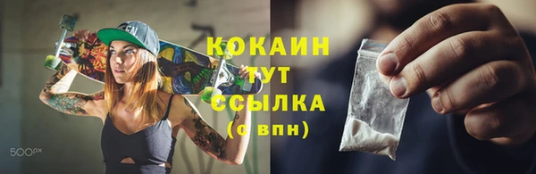 индика Протвино