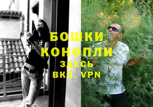 индика Протвино