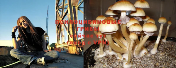 соль ск Пролетарск