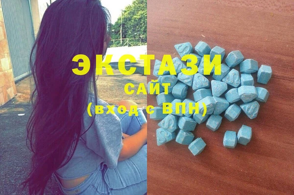 индика Протвино